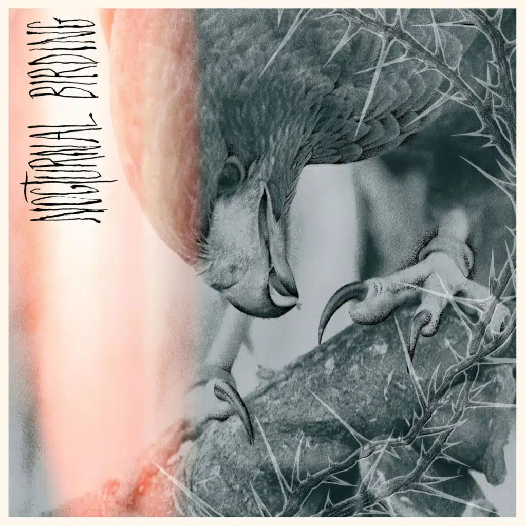 Mute Swan (feat. Megan Osztrosits)