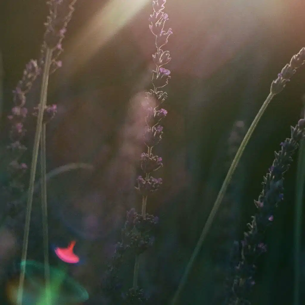 Jessie Marks & Chris Lynch