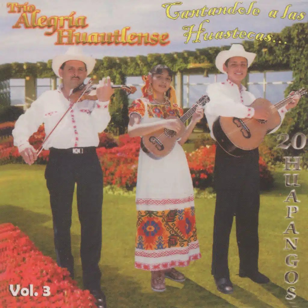 Trio Alegria Huautlense