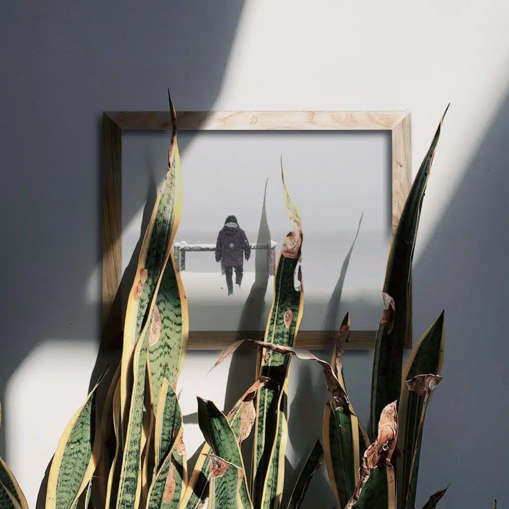 Te Voy a Levantar (feat. NADIR & Luke)