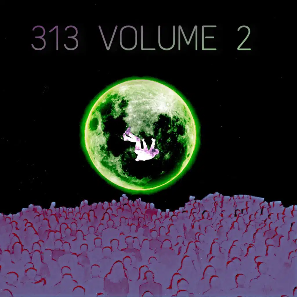 313: Volume 2