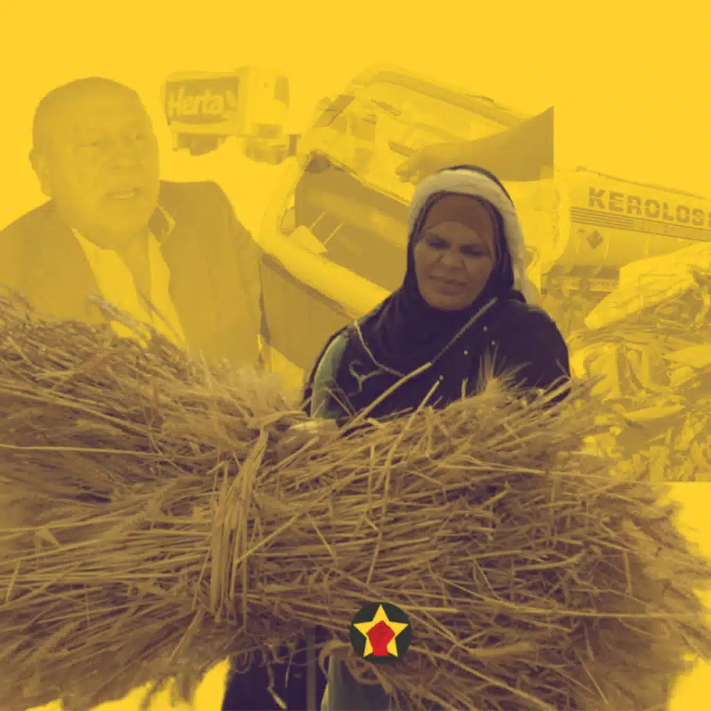 من الطريق إلى السوق الأوروبي: سلاسل الموت الزراعي