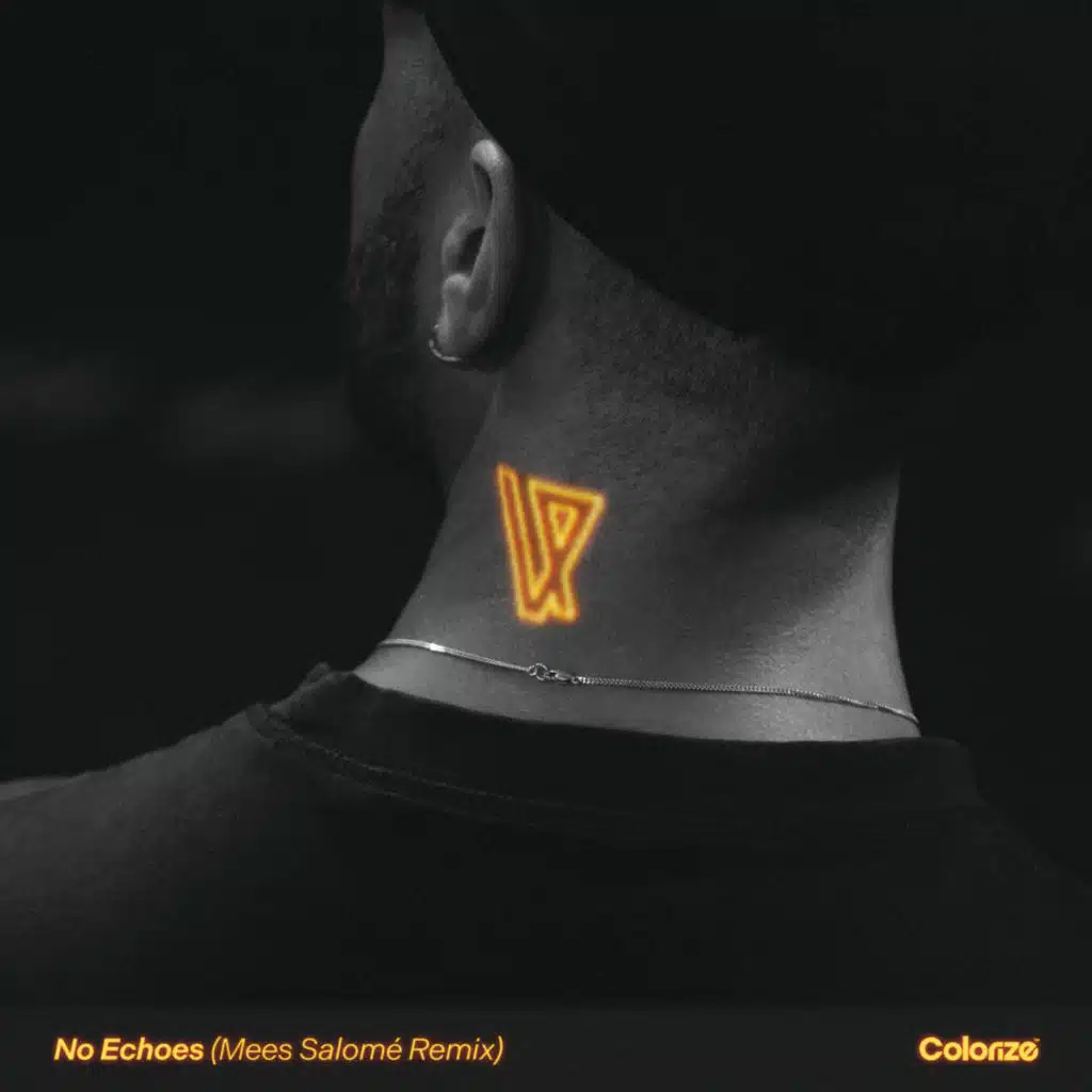 No Echoes (Mees Salomé Remix)