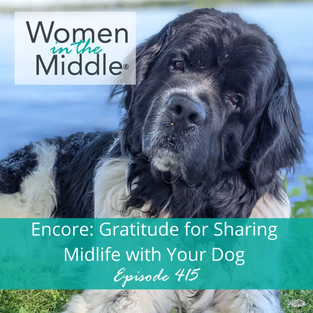 EP #415: Encore: Gratitude for Sharing Midlife With Your Dog