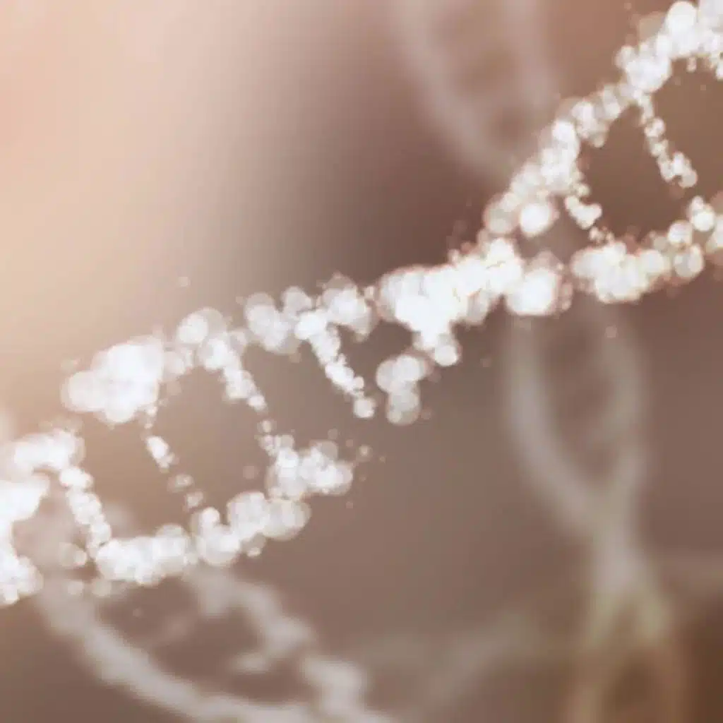 Seltene Erkrankungen – Hilfe durch Humangenetik