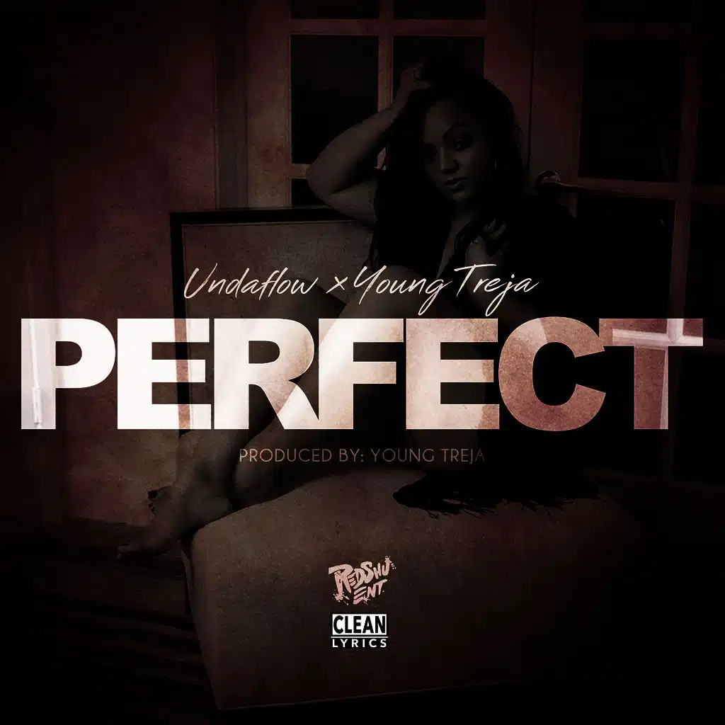Perfect (feat. Young Treja)