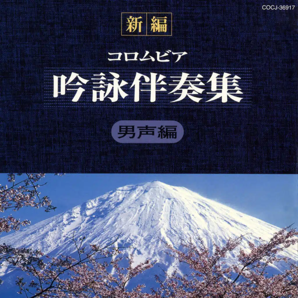 Dansei Waka Hen (1 Hon) Dm [Bansou Pattern N]