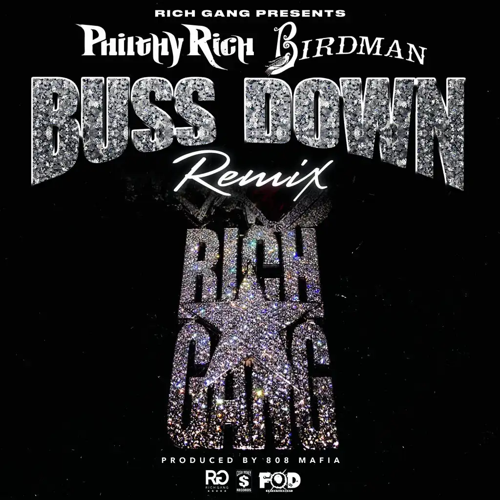 Buss Down (Remix) [feat. Birdman] - single