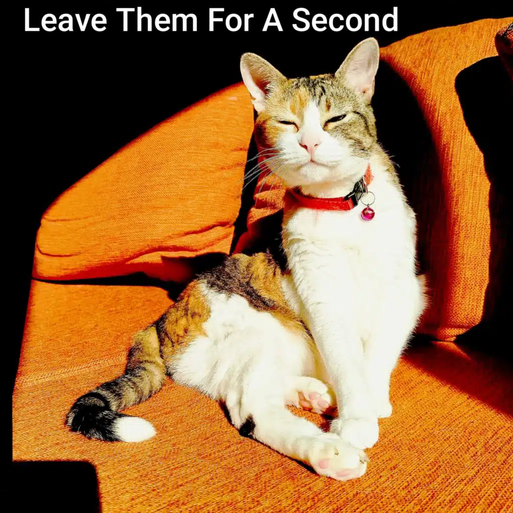 Leave Them For A Second (feat. Miscél & Σ G Θ)