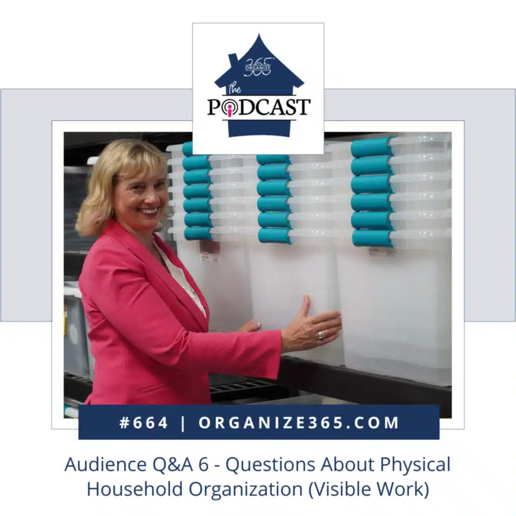 664 - Audience Q&A 6 - Physical Household Management (Visible Work)