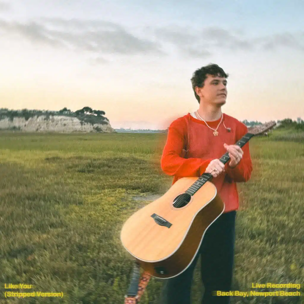 Like You (Live Stripped Version)