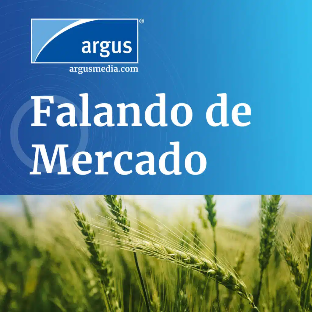 Podcast | Falando de Mercado: E30 impõe nova dinâmica aos mercados de etanol