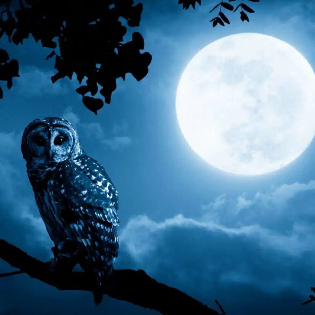 Evening Prayer to the Divine Mothers of Darkness & Light