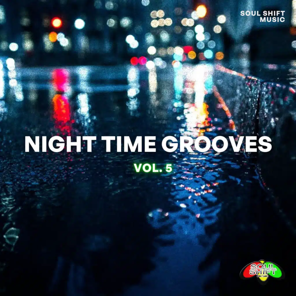 Night Time Grooves, Vol. 5