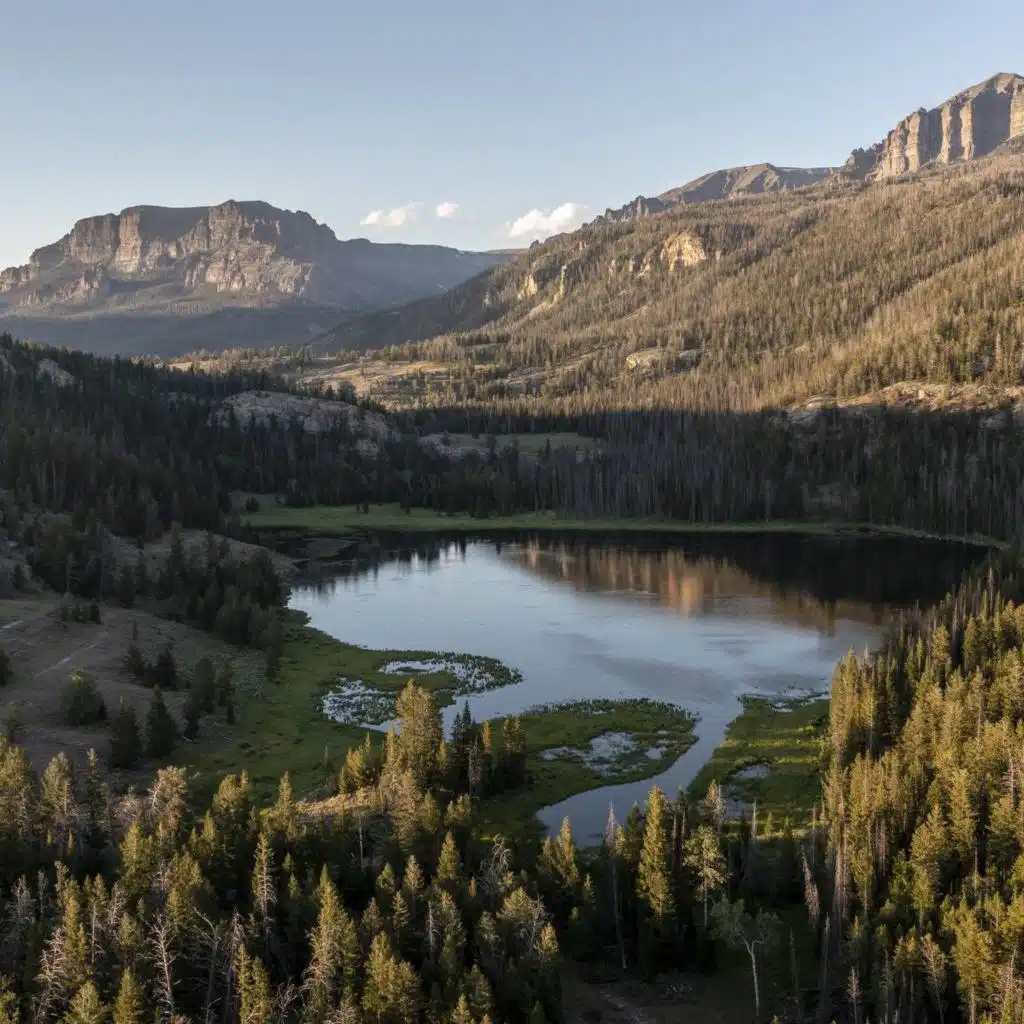 What happens when states manage public land?