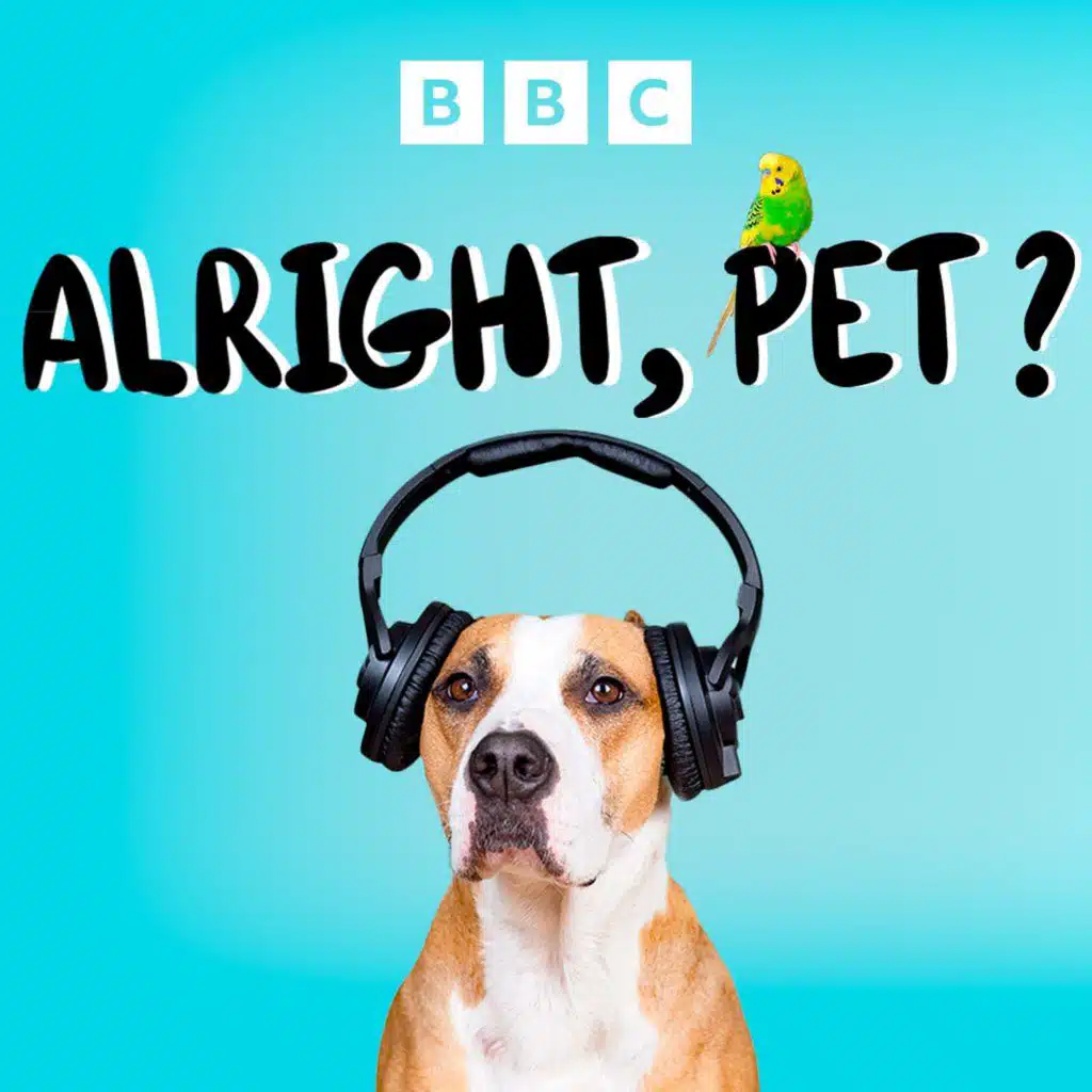 A life-saving cat and doggy danders
