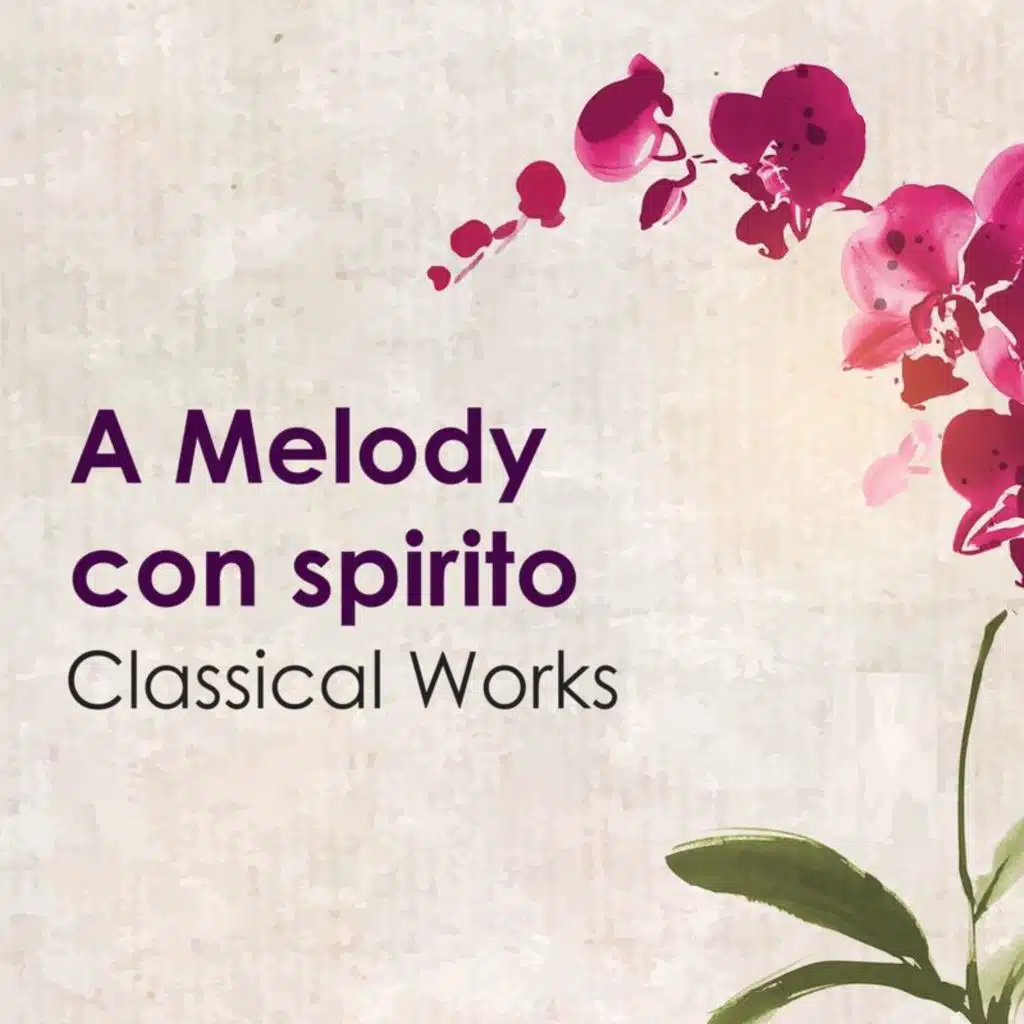 Mozart: Symphony No. 35 in D Major, K. 385 "Haffner": I. Allegro con spirito (Excerpt)