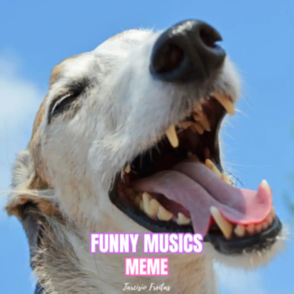 Funny Music 10
