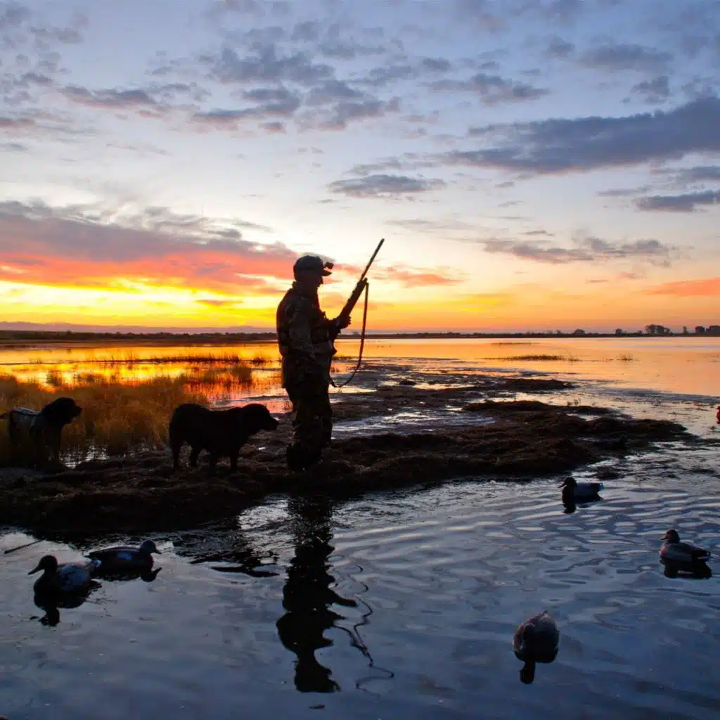 Could we see the LDWF add a new coastal zone for hunters?: Full Show 7-5-2025