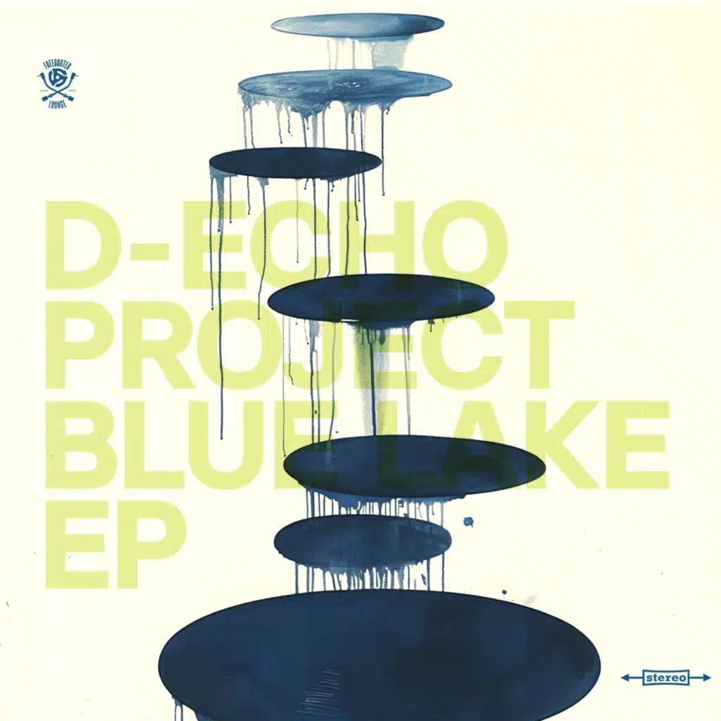 D-Echo Project
