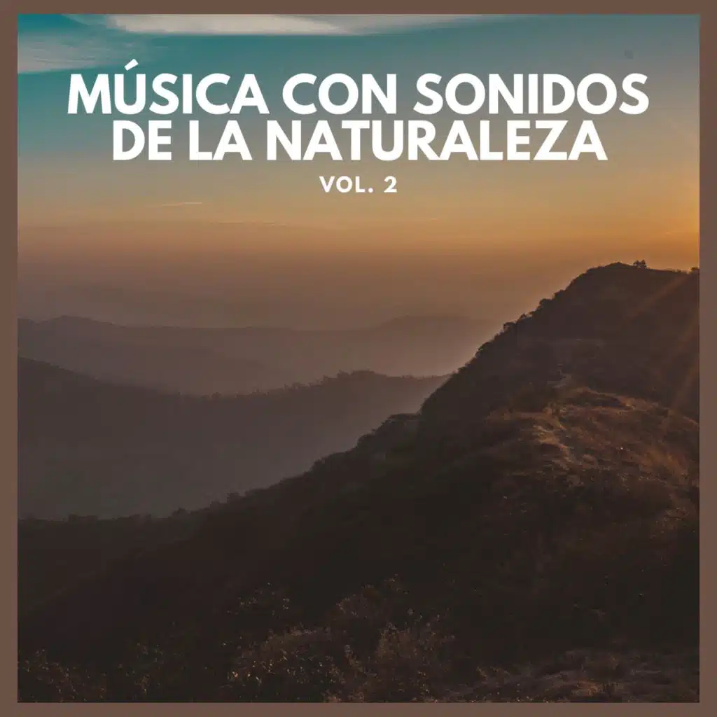Musica de Fondo Tranquila (Con Sonidos del Mar)