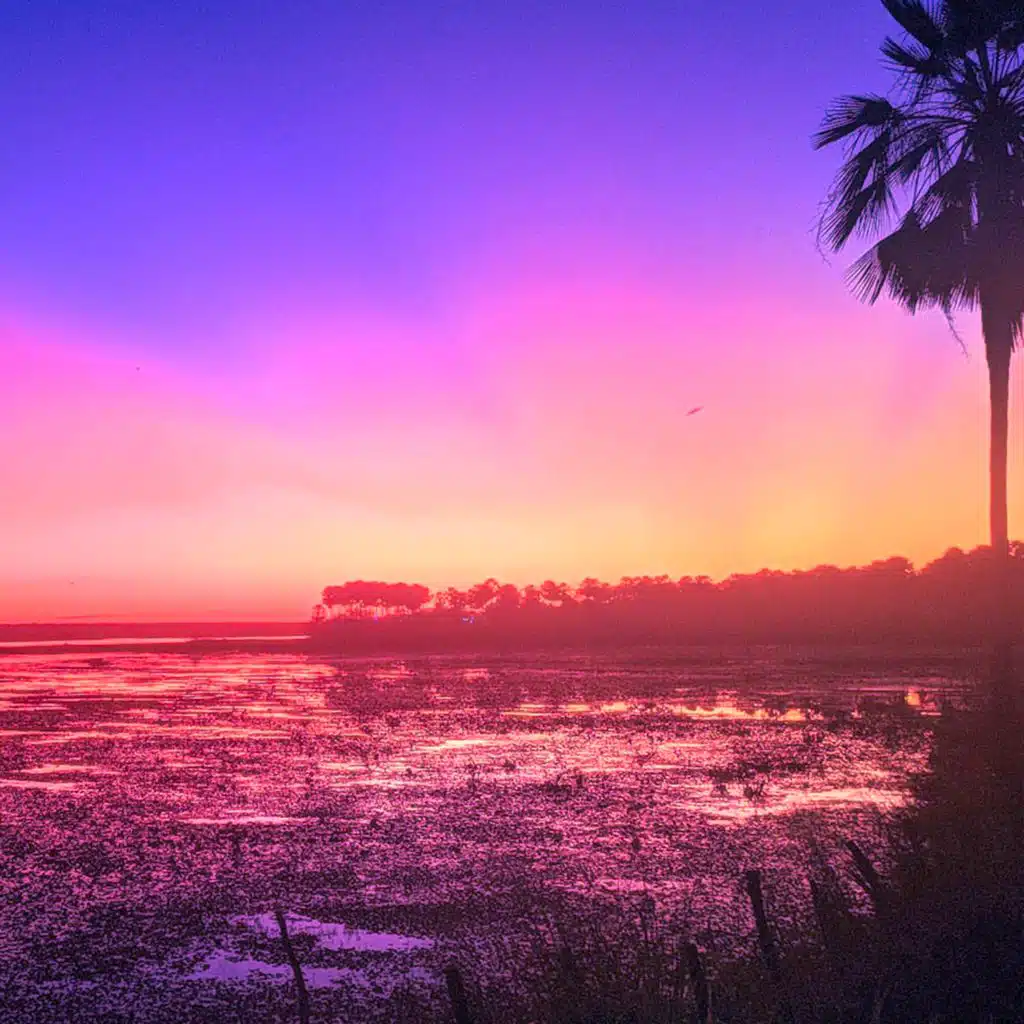 Sentido (Instrumental)