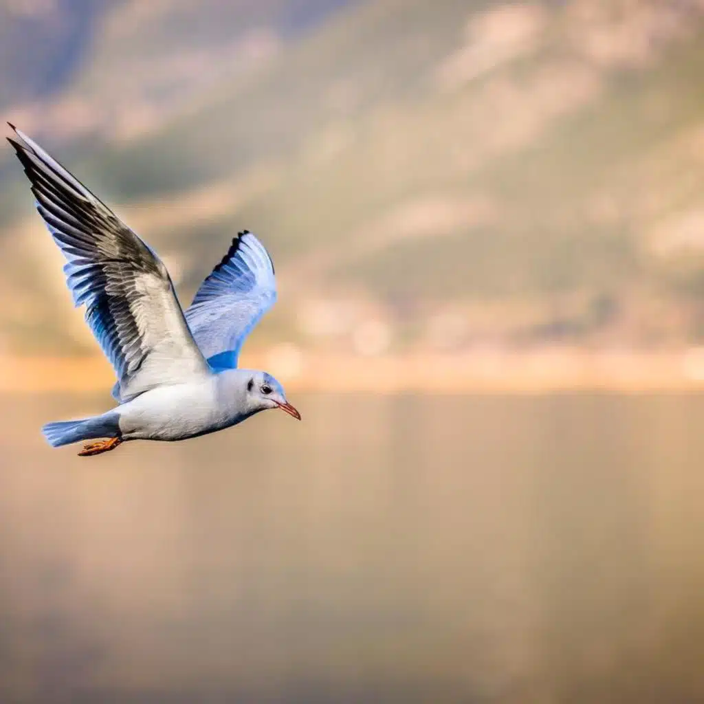 Yoga Nidra for Sleep - Guided Meditation to Help You Drift into Deep,Restful Sleep