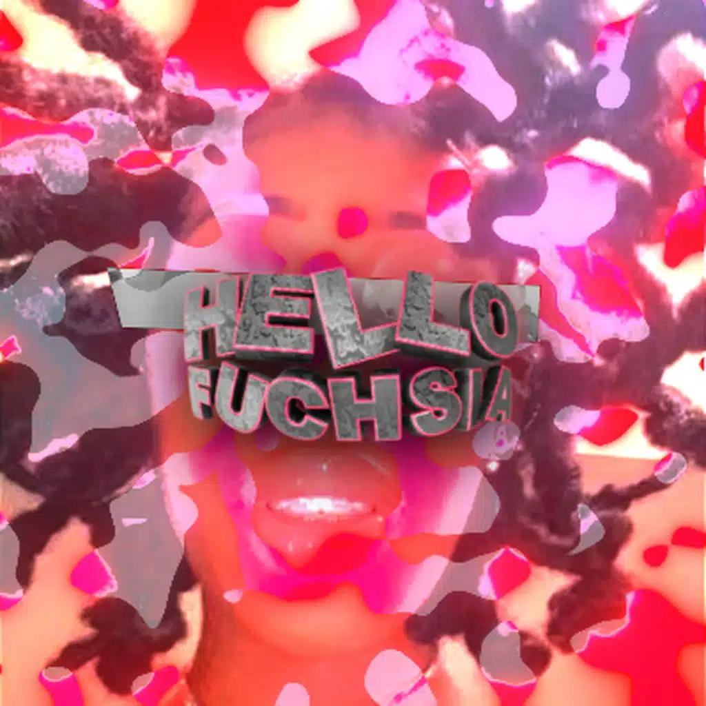 HELLO FUCHSIA