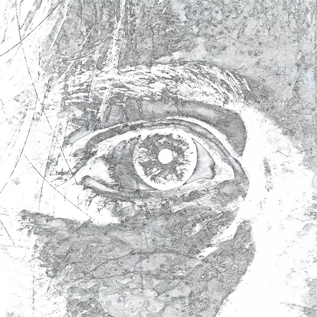 le chant des oiseaux