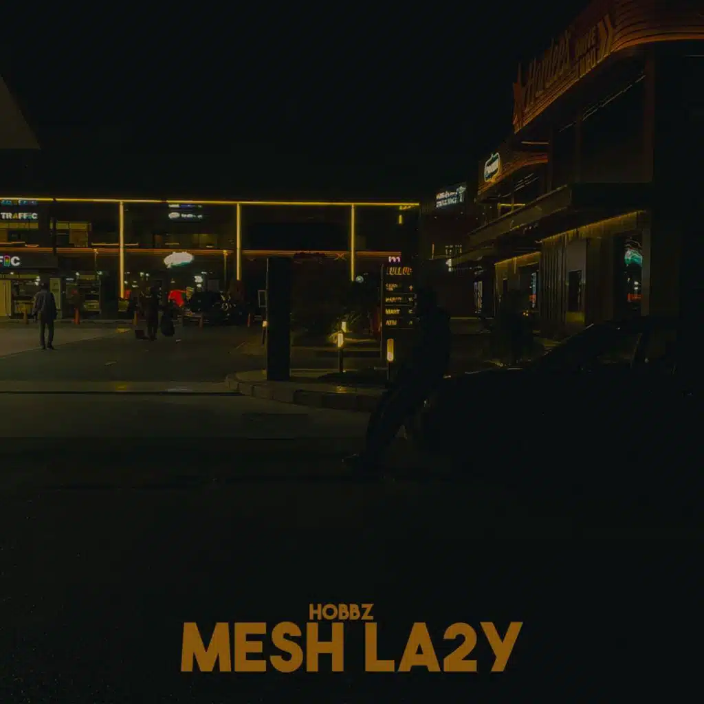 Mesh La2y