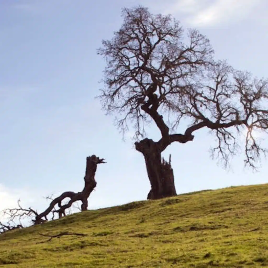 When Another Christian Hurts You