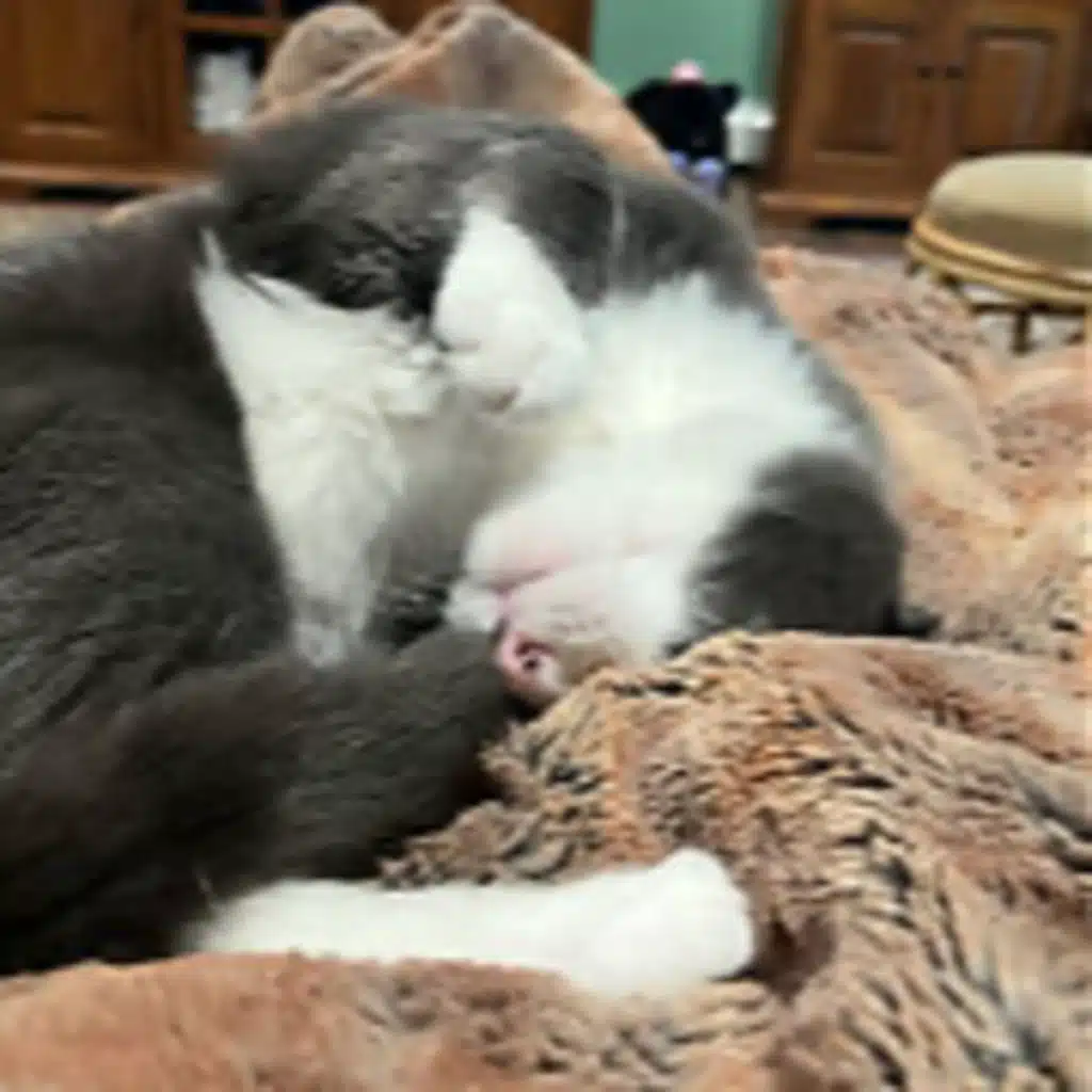 Episode 2890 CWSA 07/07/25