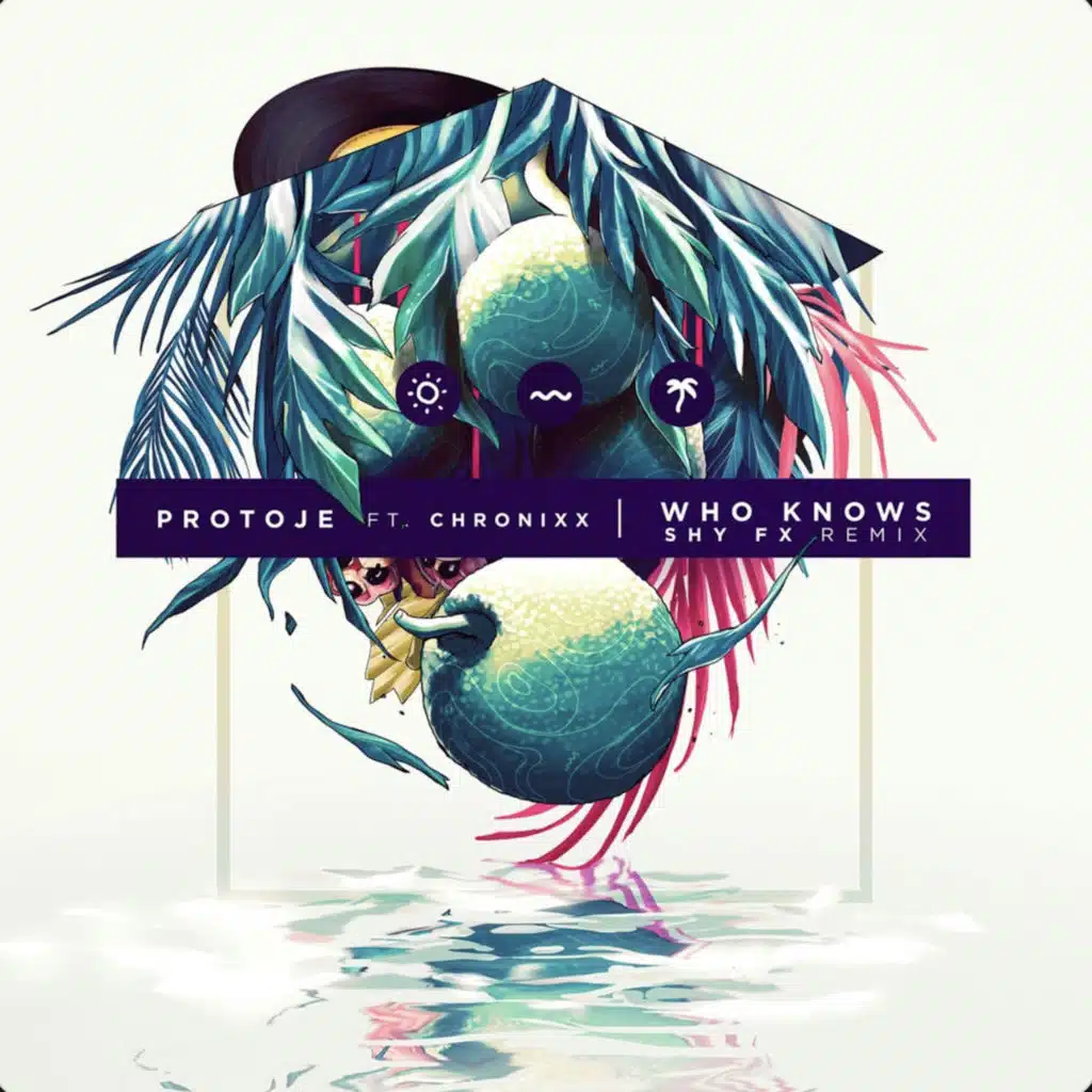 Who Knows (SHY FX Remix) [feat. Chronixx]