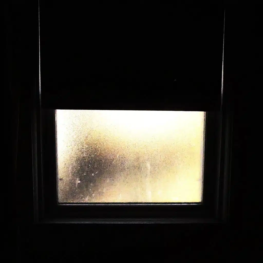 Between The Trees & Me