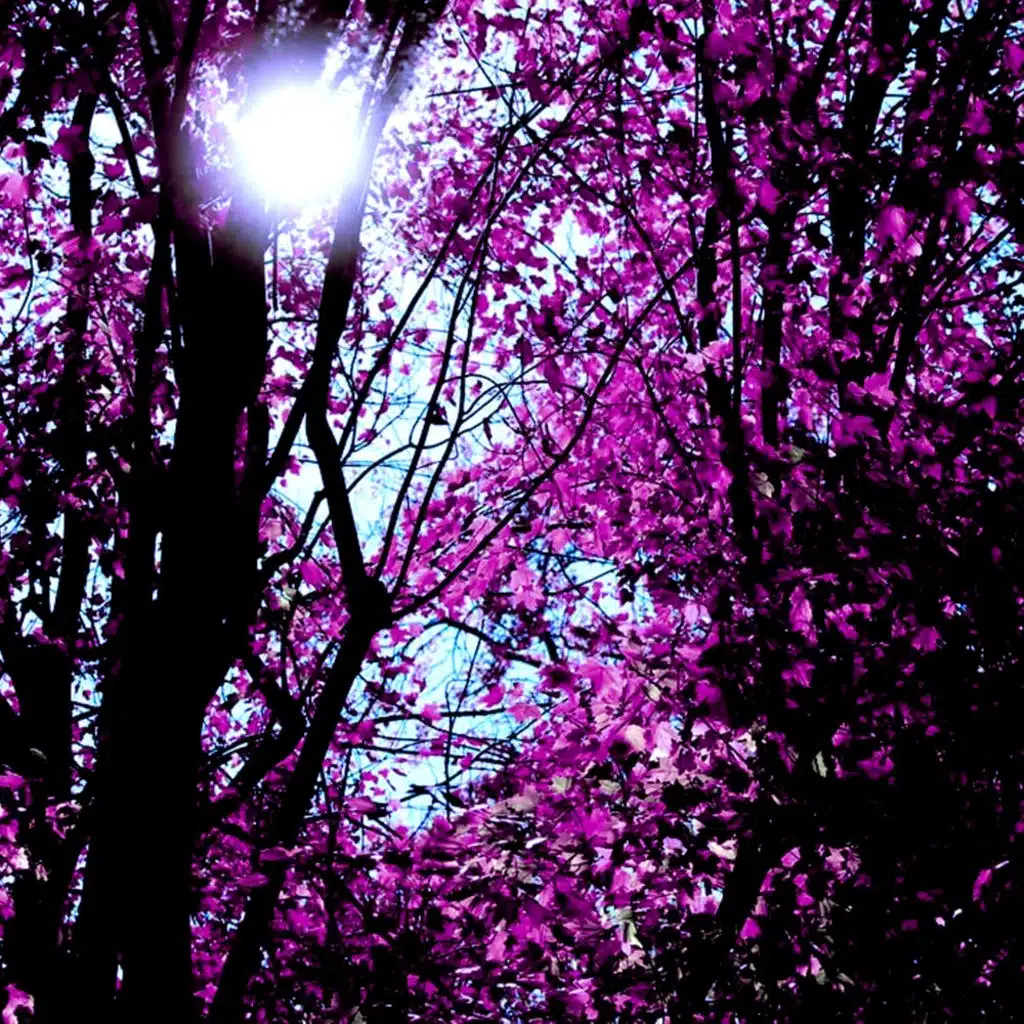 Bedtime Baby, Sweet Baby Sleep, Lulaby, White Noise for Deeper Sleep and Appliances for Meditation featuring Brown Noise for Babies