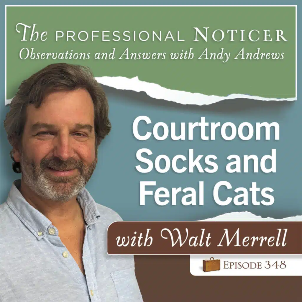 Courtroom Socks and Feral Cats with Walt Merrell
