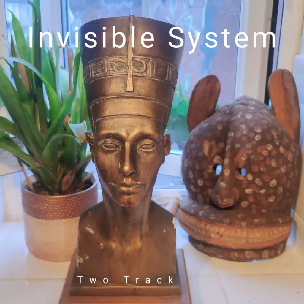 Invisible System