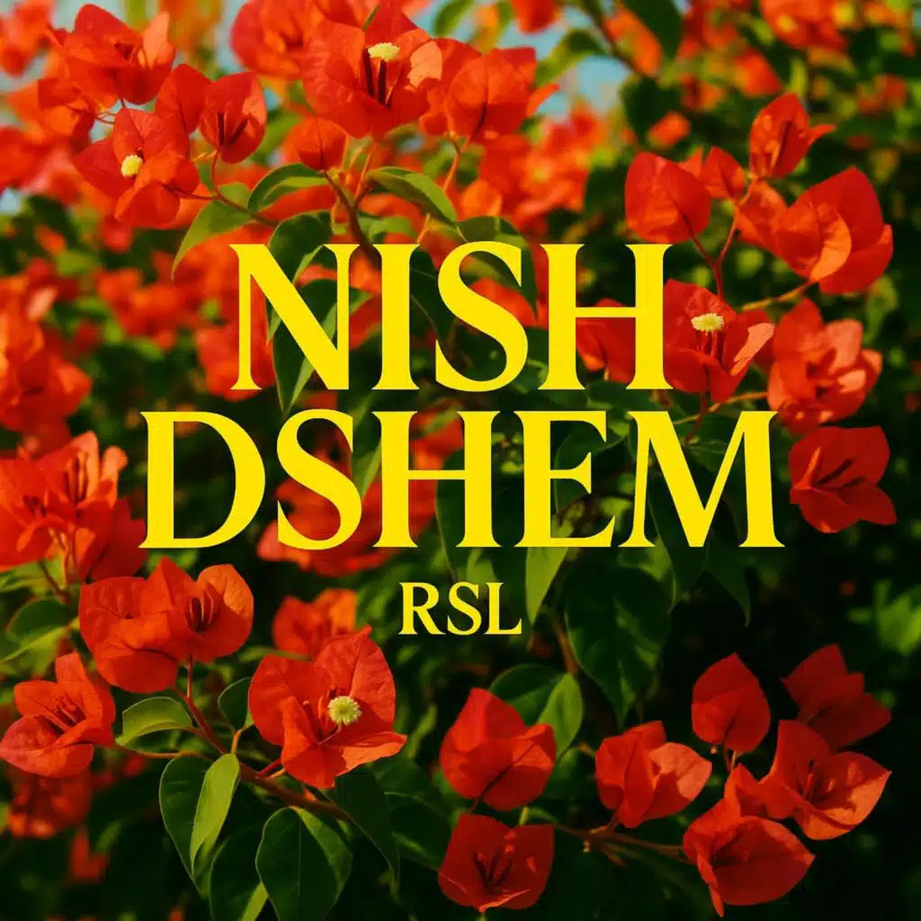 NISH DSHEM