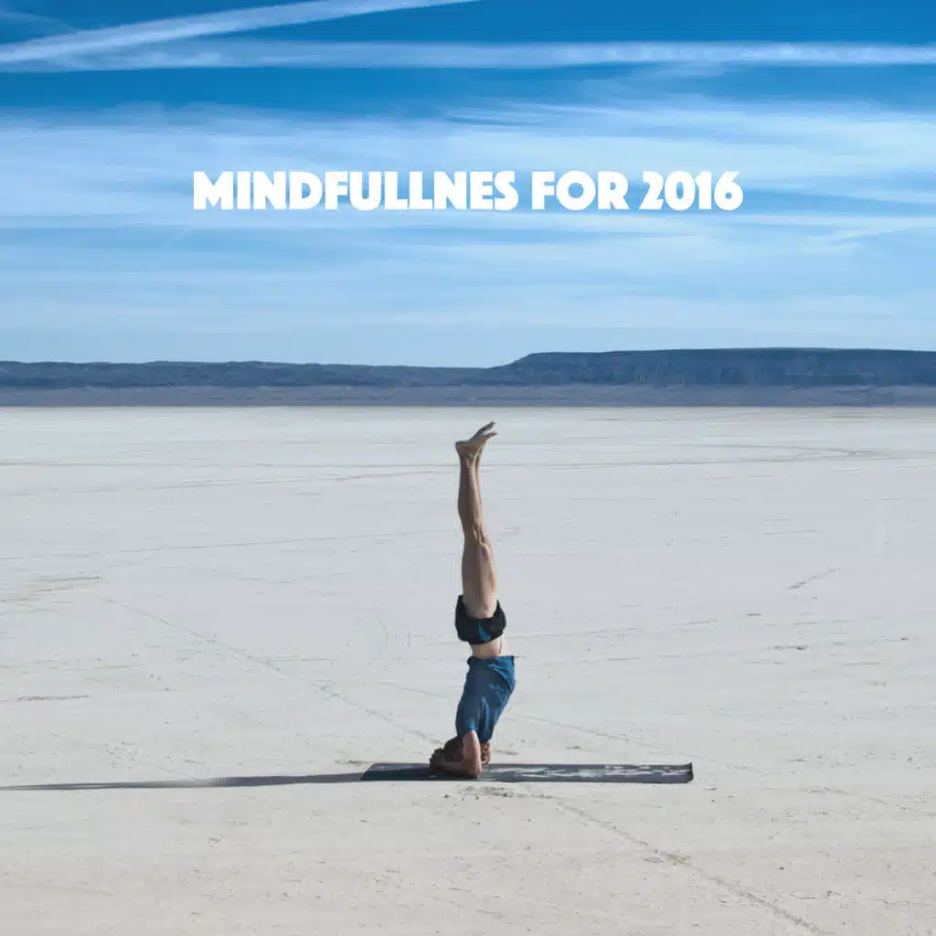 Relax Meditate Sleep, Relax and Zen Music Garden