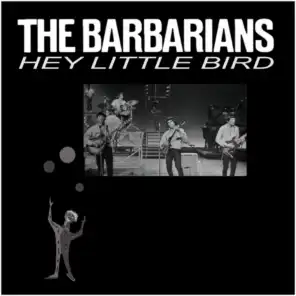 Hey Little Bird