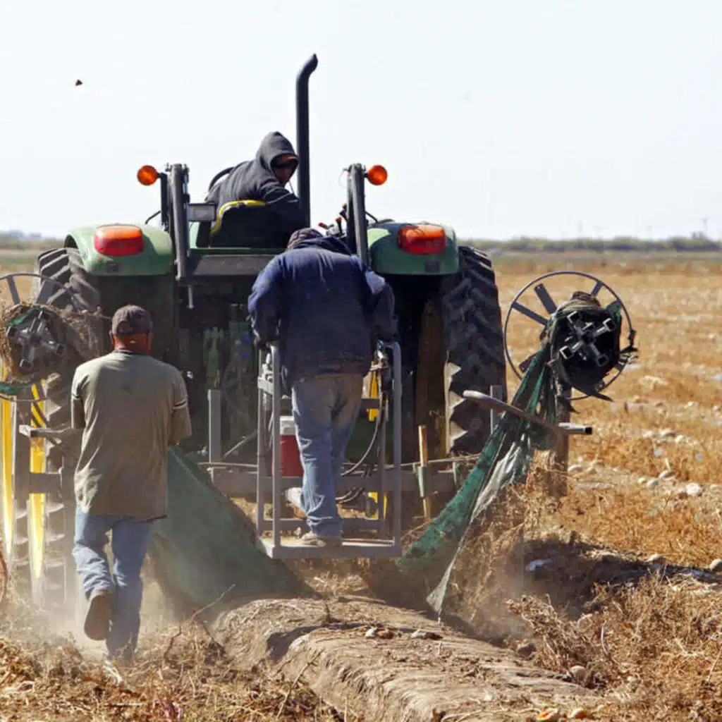 Why American farmers rely on unauthorized workers