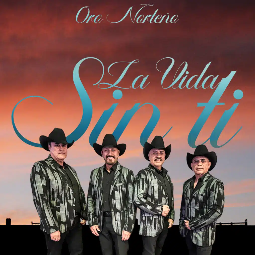 La Vida Sin Ti