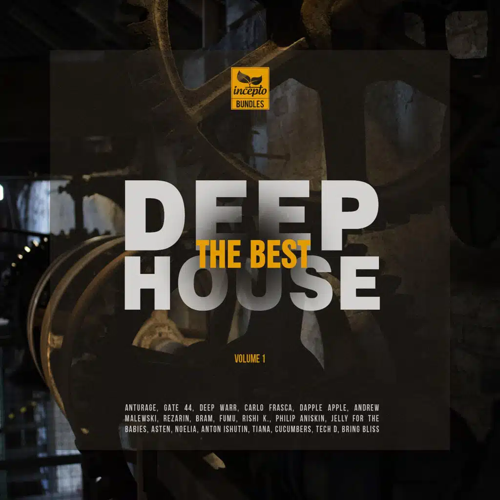 Deep house vol 1. Deep house жанр. Sm trax - got the move (dj hyper mix). Deep house (vol. Deep smile.