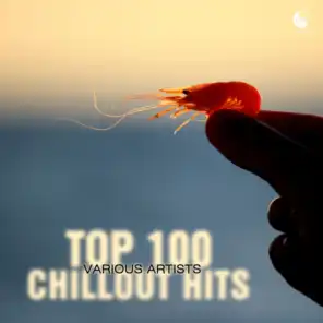 Top 100 Chillout Hits