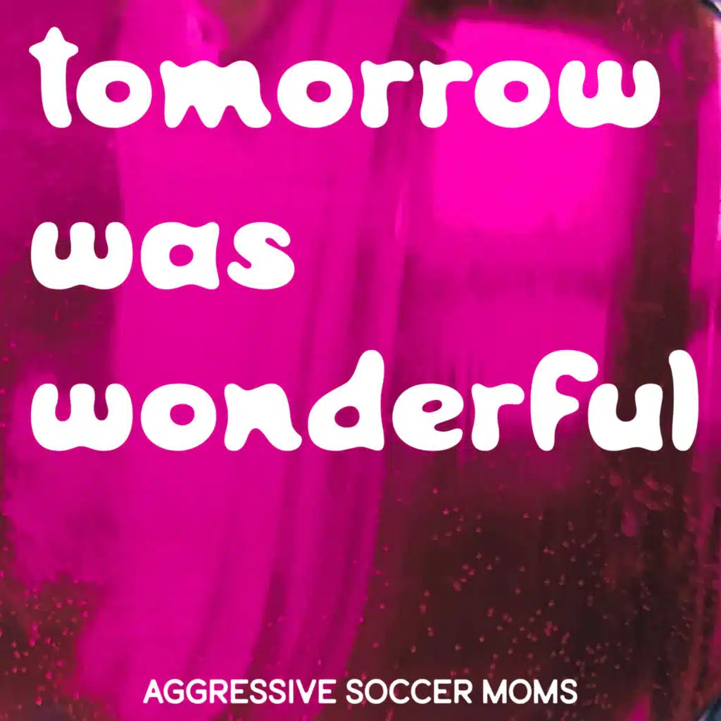 Aggressive Soccer Moms