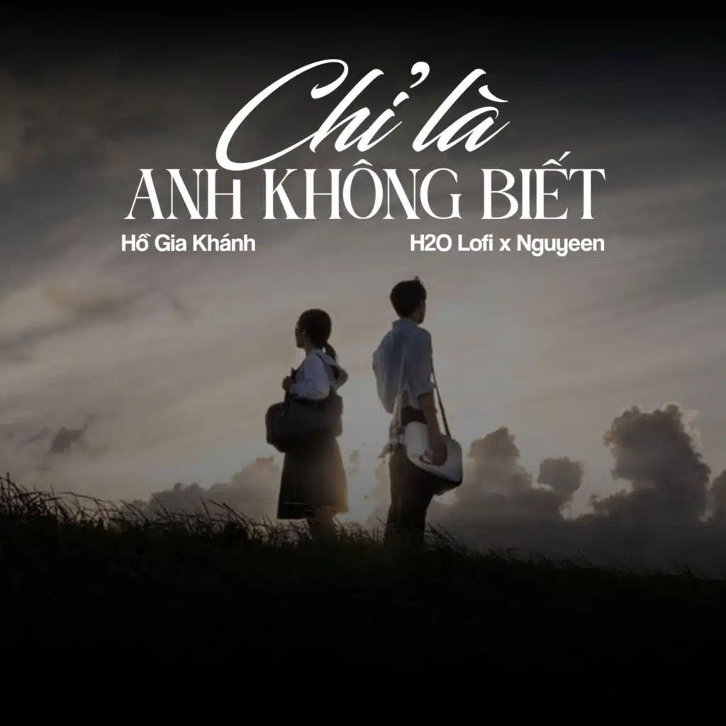 Chỉ Là Anh Không Biết (Lofi) [feat. H2O Lofi & Nguyeen]