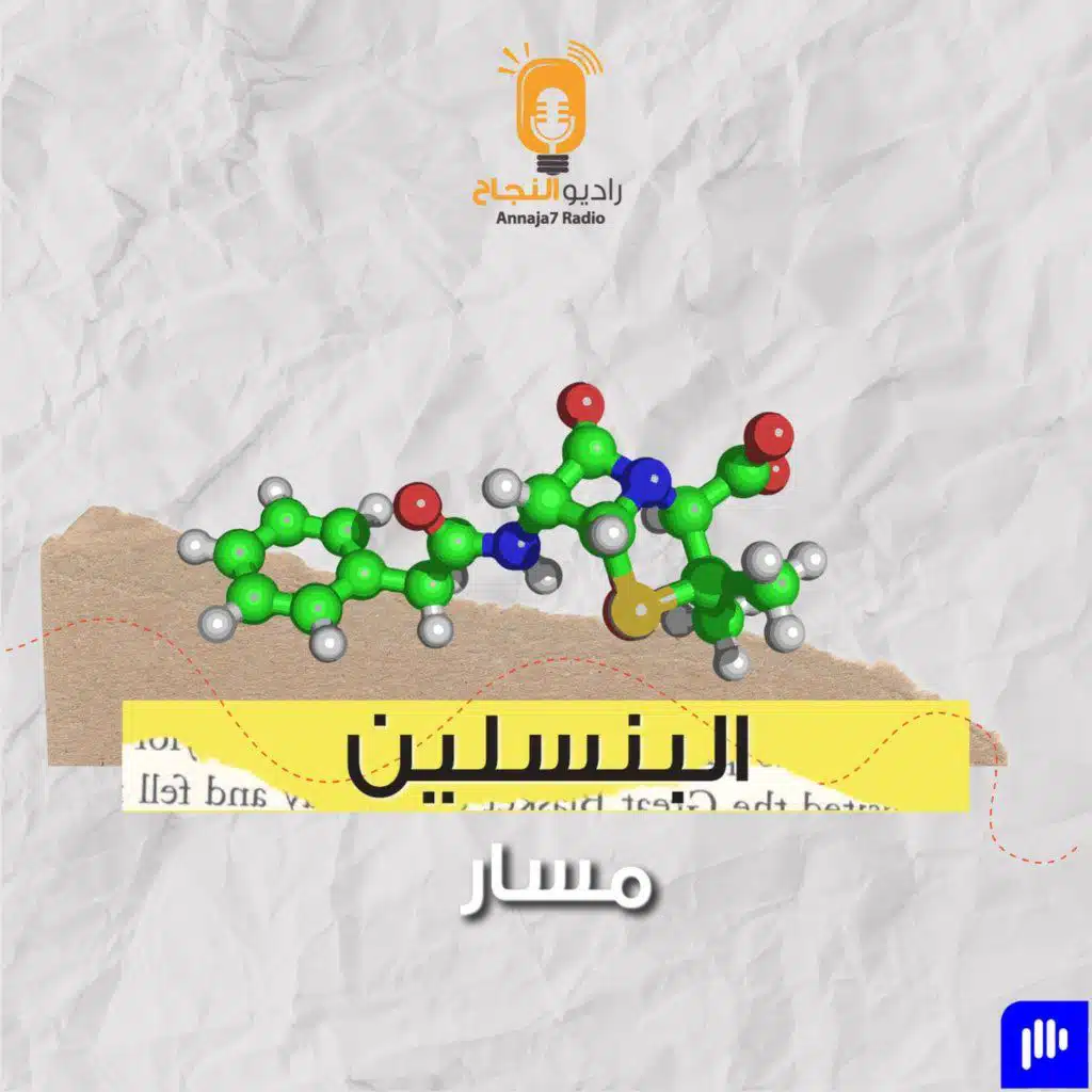 البنسلين