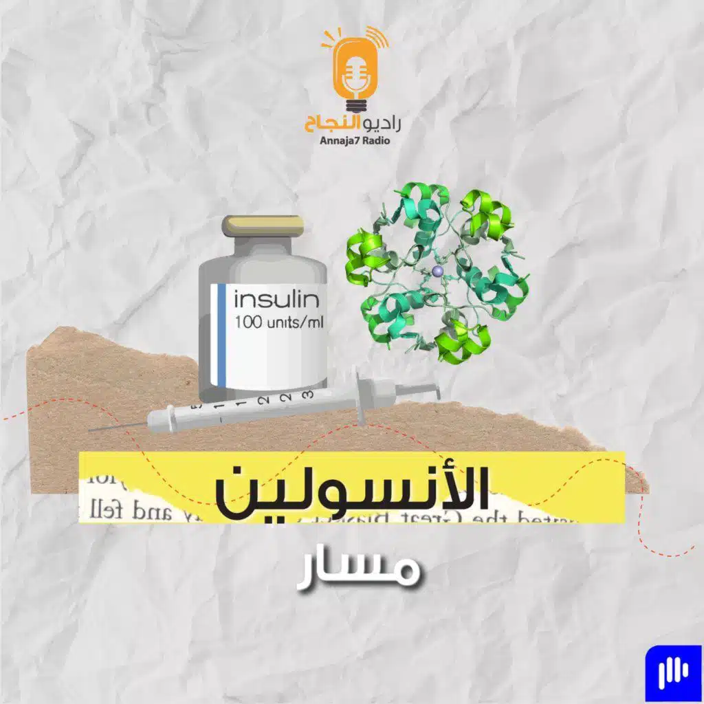 الأنسولين