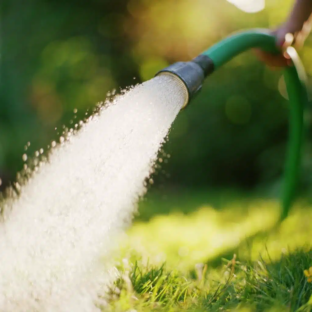 Hold your hoses and conserve water!