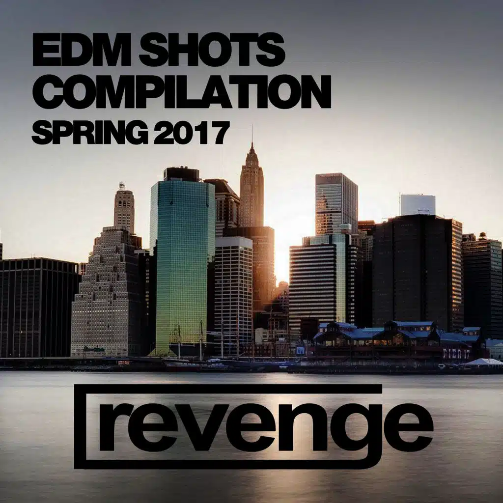 I See The Future (Original mix)